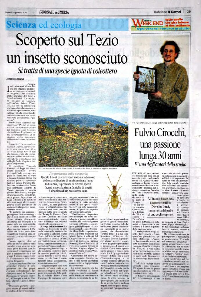 thumbnail of 14.01.2011 Giornale dell’Umbria – Scoperto sul Tezio un insetto sconosciuto
