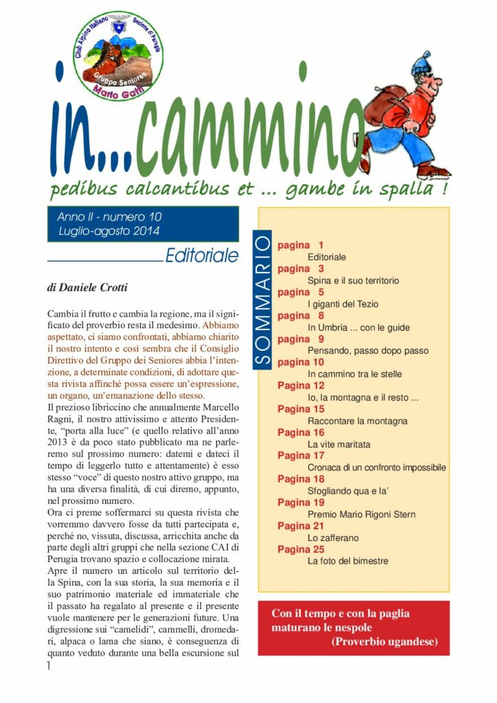 thumbnail of In…Cammino n.10 br