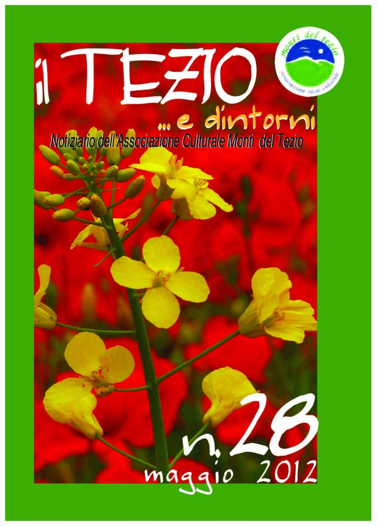 thumbnail of Notiziario 28