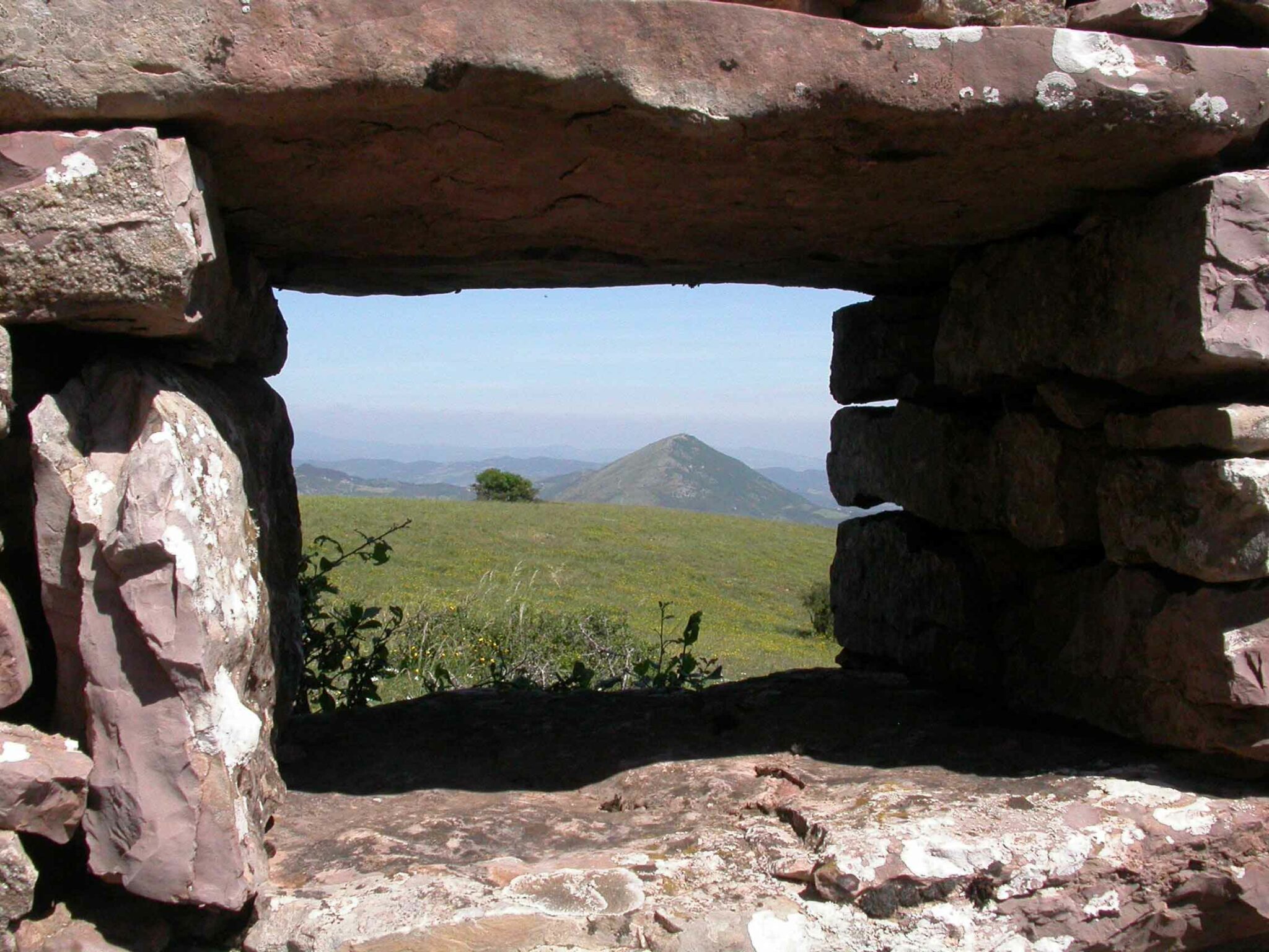 Panorami